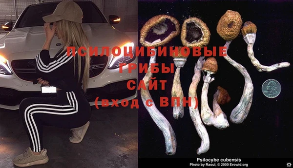 марки nbome Алексин