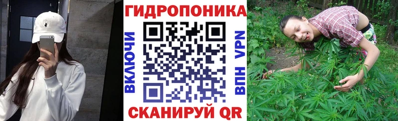Шишки марихуана семена  Кола 